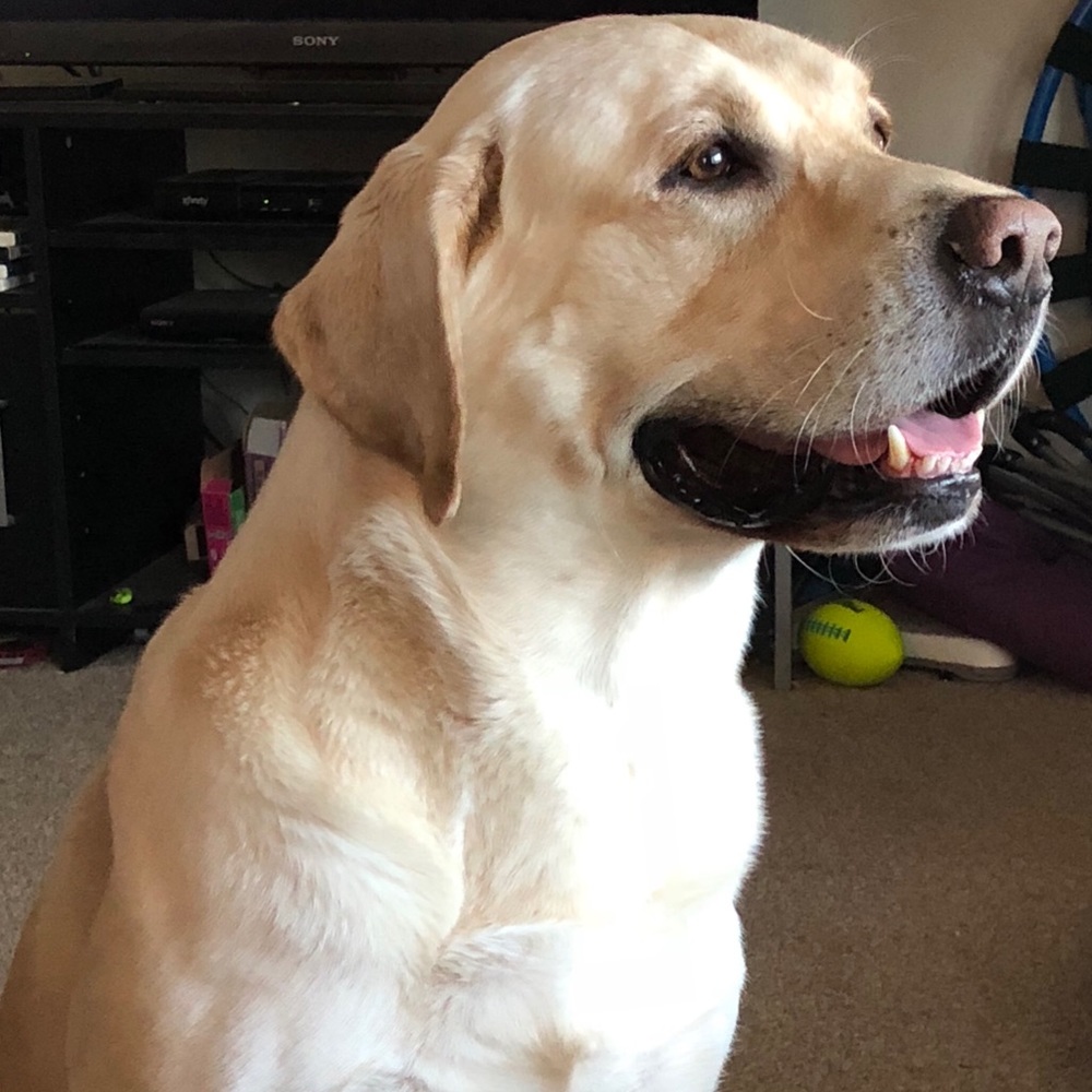 Meet your Posher, Kate